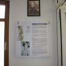 Leben am Strom - 051